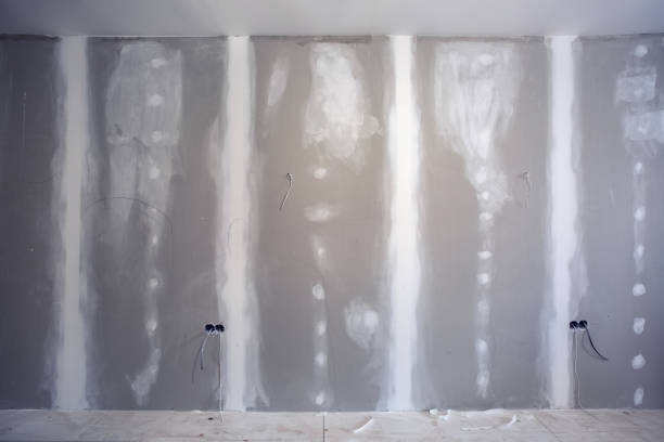 Best HVAC Mold Inspection and Cleaning  in East Grand Rapids, MI